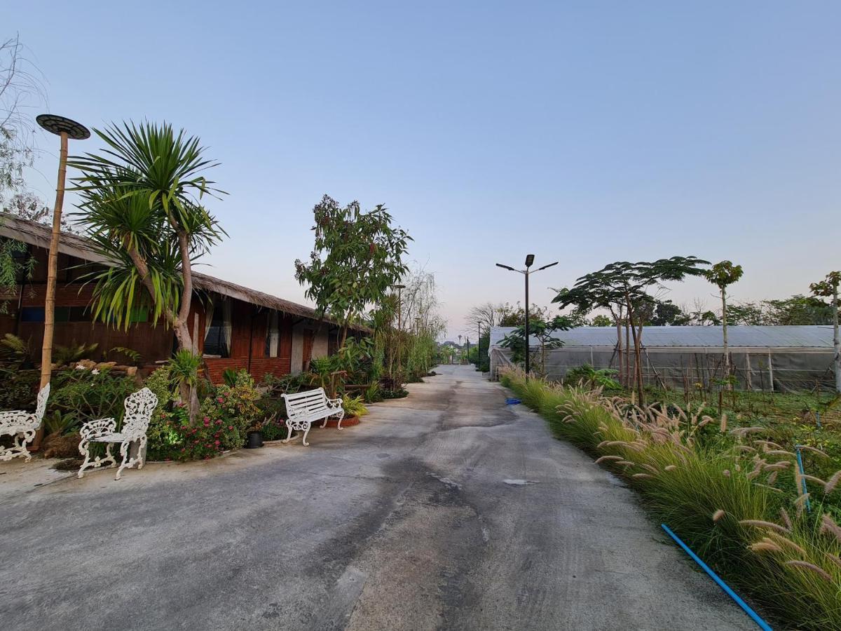 Séjour chez l'habitant Tasana Garden Saraphi ทาซาน่าการ์เด้น สาขาสารภี