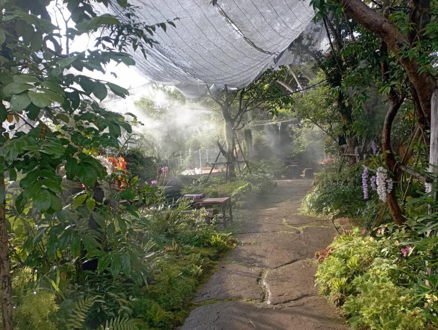 Tasana Garden Saraphi ทาซาน่าการ์เด้น สาขาสารภี Séjour chez l'habitant Chiang Mai
